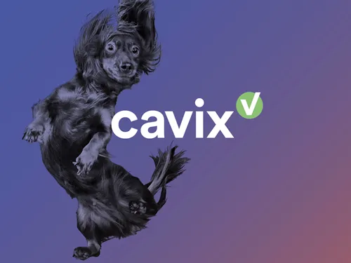 500x375_OPEN_cavix